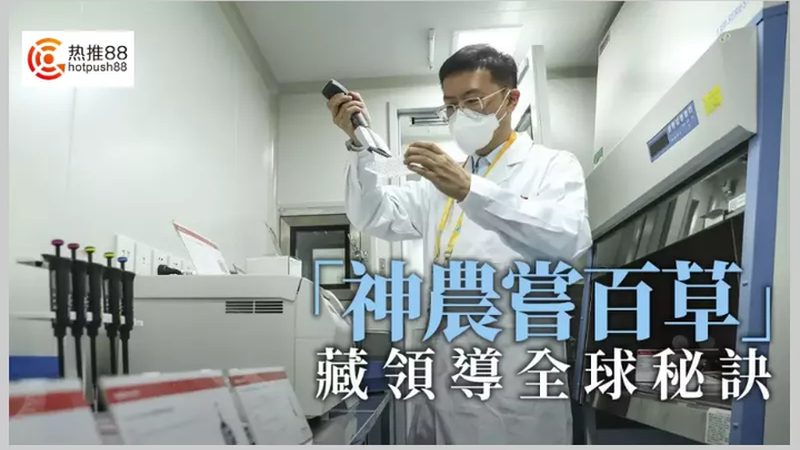 PCR引物合成：揭秘其关键性与选择要点