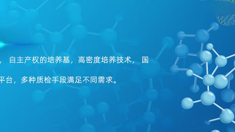 批量引物合成的价格揭秘：影响因素与选择要点