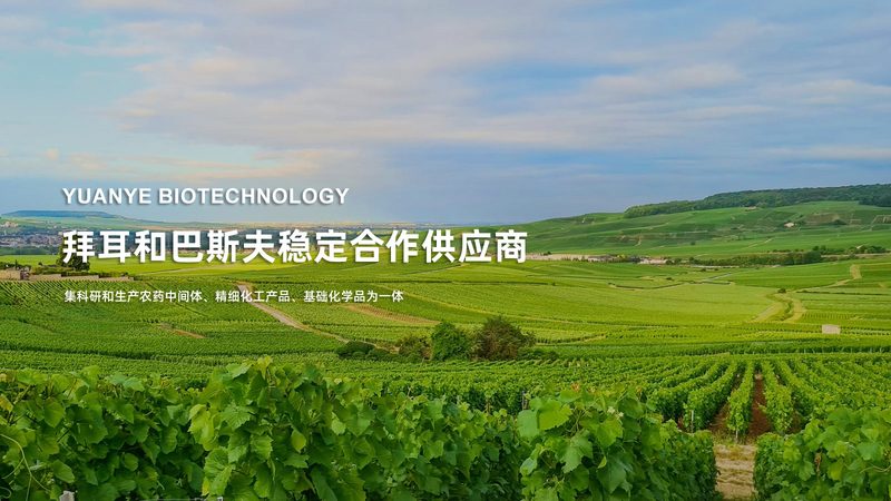 生物医药外包实验室资质不通过原因