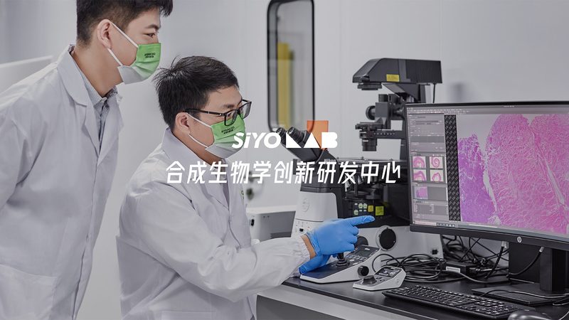 磷酸化抗体：精准医疗的利器，如何挑选优质品牌？**