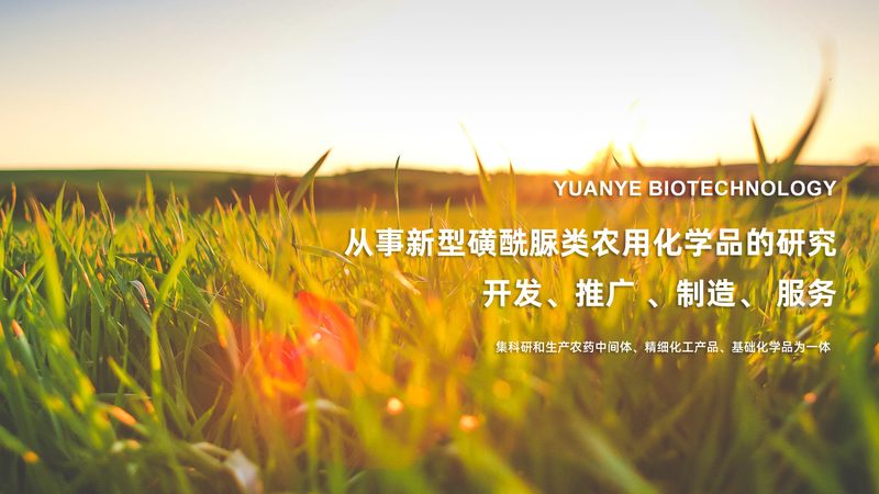 PCR检测试剂批发，如何把握报价标准？**
