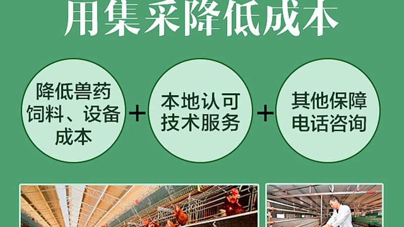 分子生物学试剂：实验规范的要点解析**