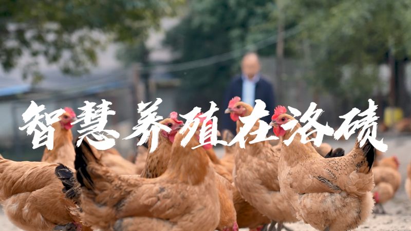 北京生物医药外包项目招标：揭秘项目招标流程与关键要素**