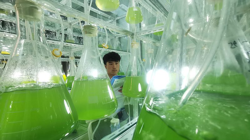 CRS策略案例解析：揭秘CRO在生物制药研发中的关键作用